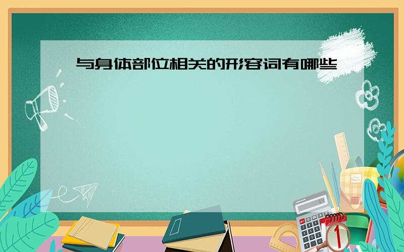 与身体部位相关的形容词有哪些