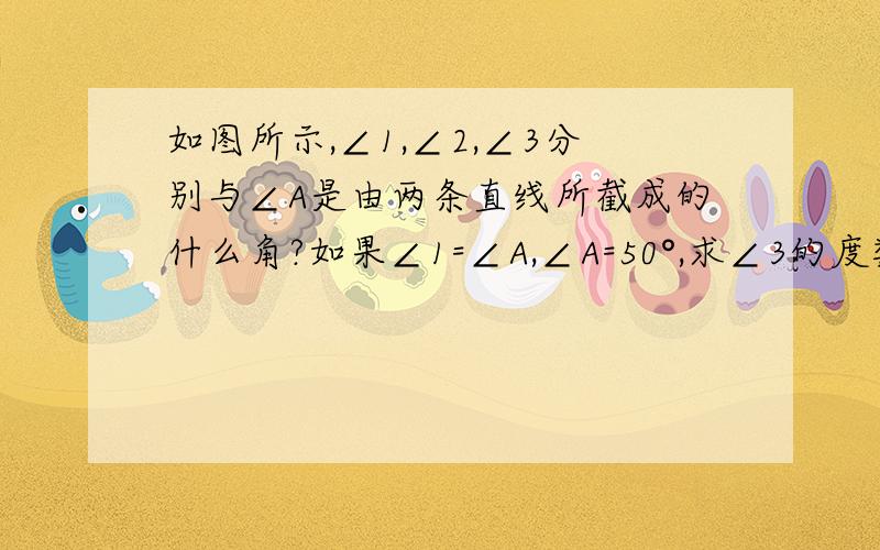 如图所示,∠1,∠2,∠3分别与∠A是由两条直线所截成的什么角?如果∠1=∠A,∠A=50°,求∠3的度数