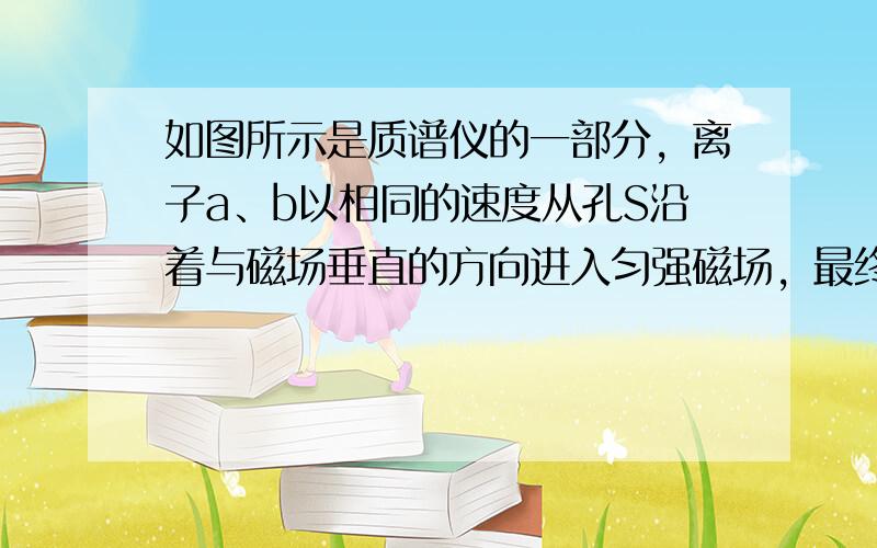 如图所示是质谱仪的一部分，离子a、b以相同的速度从孔S沿着与磁场垂直的方向进入匀强磁场，最终打到照相底片上.已知离子a、