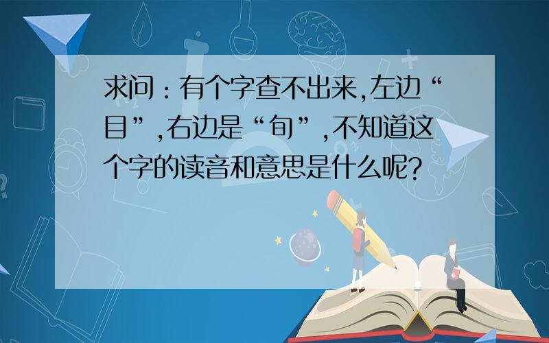 求问：有个字查不出来,左边“目”,右边是“旬”,不知道这个字的读音和意思是什么呢?