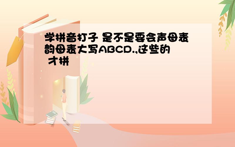 学拼音打子 是不是要会声母表韵母表大写ABCD.,这些的 才拼