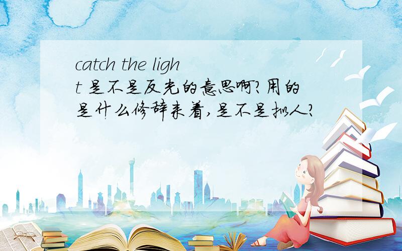 catch the light 是不是反光的意思啊?用的是什么修辞来着,是不是拟人?