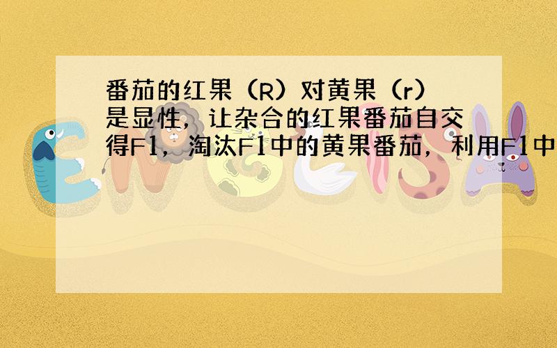 番茄的红果（R）对黄果（r）是显性，让杂合的红果番茄自交得F1，淘汰F1中的黄果番茄，利用F1中的红果番茄自交，其后代R