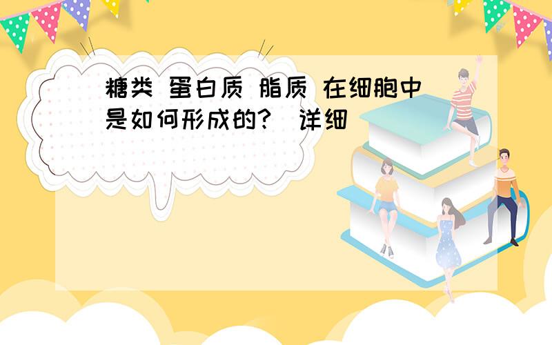 糖类 蛋白质 脂质 在细胞中是如何形成的?（详细）