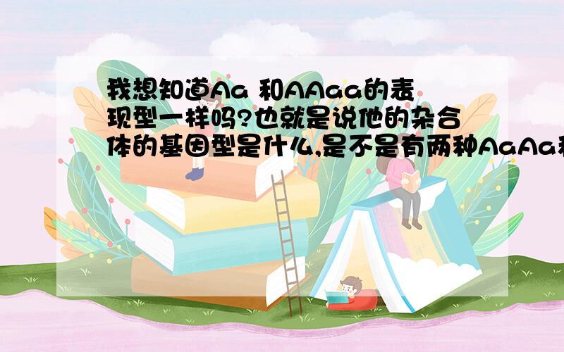 我想知道Aa 和AAaa的表现型一样吗?也就是说他的杂合体的基因型是什么,是不是有两种AaAa和AAaa?