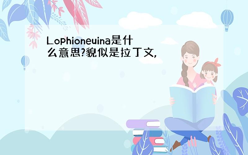 Lophioneuina是什么意思?貌似是拉丁文,