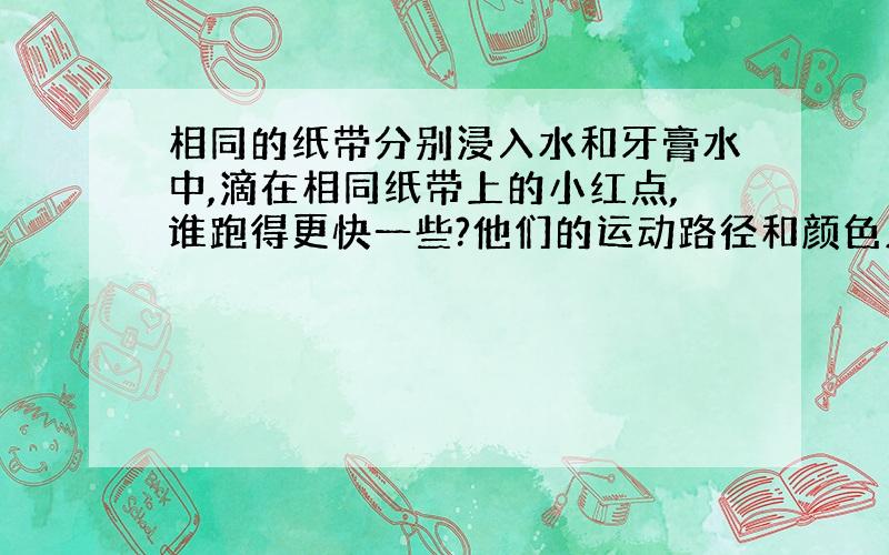 相同的纸带分别浸入水和牙膏水中,滴在相同纸带上的小红点,谁跑得更快一些?他们的运动路径和颜色又有哪些不同?