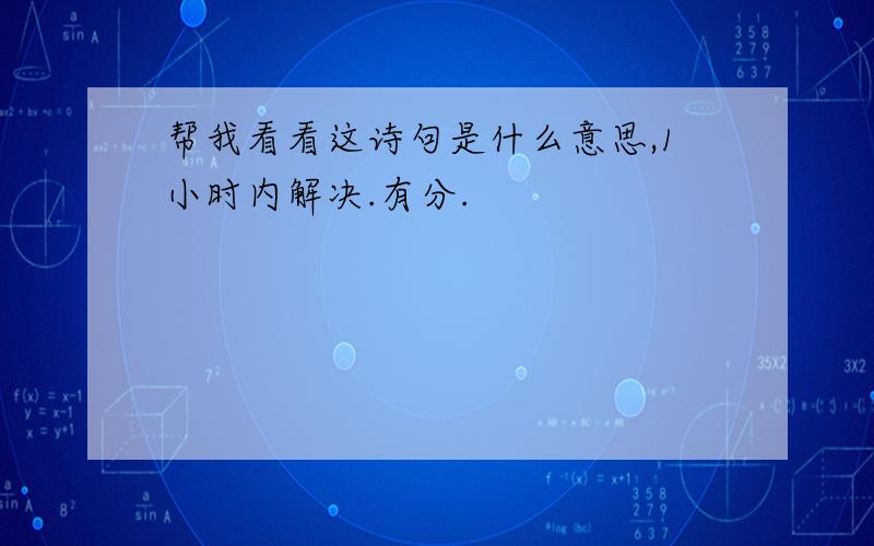 帮我看看这诗句是什么意思,1小时内解决.有分.