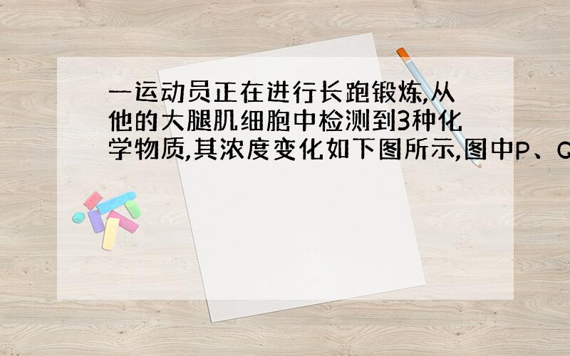 一运动员正在进行长跑锻炼,从他的大腿肌细胞中检测到3种化学物质,其浓度变化如下图所示,图中P、Q、R三曲线依次代表 &n