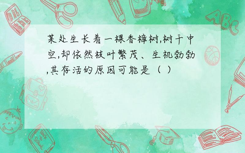 某处生长着一棵香樟树,树干中空,却依然枝叶繁茂、生机勃勃,其存活的原因可能是（ ）