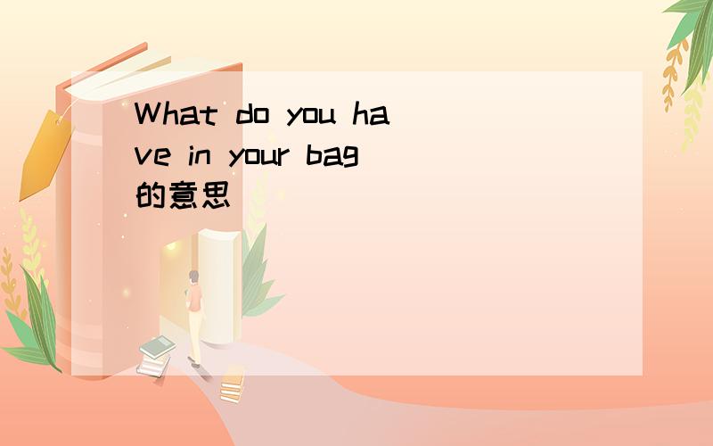 What do you have in your bag的意思