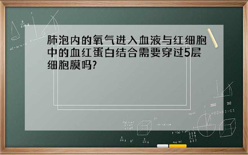 肺泡内的氧气进入血液与红细胞中的血红蛋白结合需要穿过5层细胞膜吗?