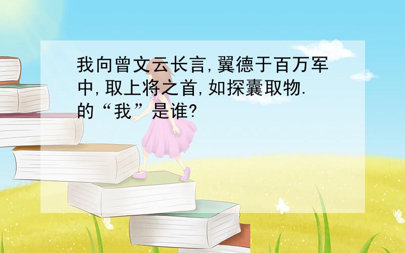 我向曾文云长言,翼德于百万军中,取上将之首,如探囊取物.的“我”是谁?