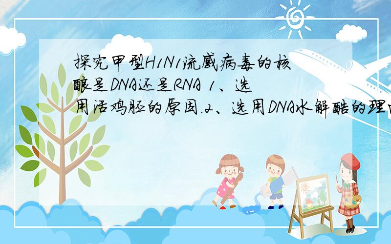 探究甲型H1N1流感病毒的核酸是DNA还是RNA 1、选用活鸡胚的原因.2、选用DNA水解酶的理由.