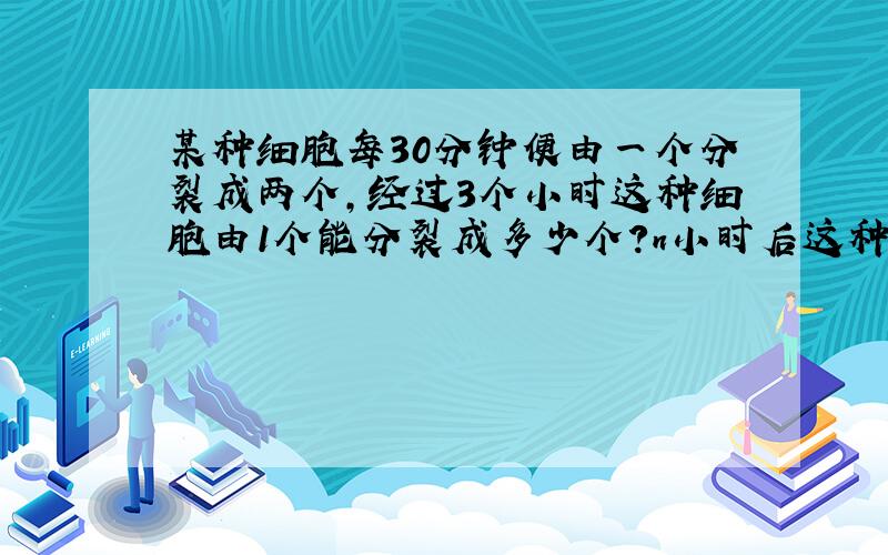 某种细胞每30分钟便由一个分裂成两个,经过3个小时这种细胞由1个能分裂成多少个?n小时后这种细胞由1个分裂成多少个?