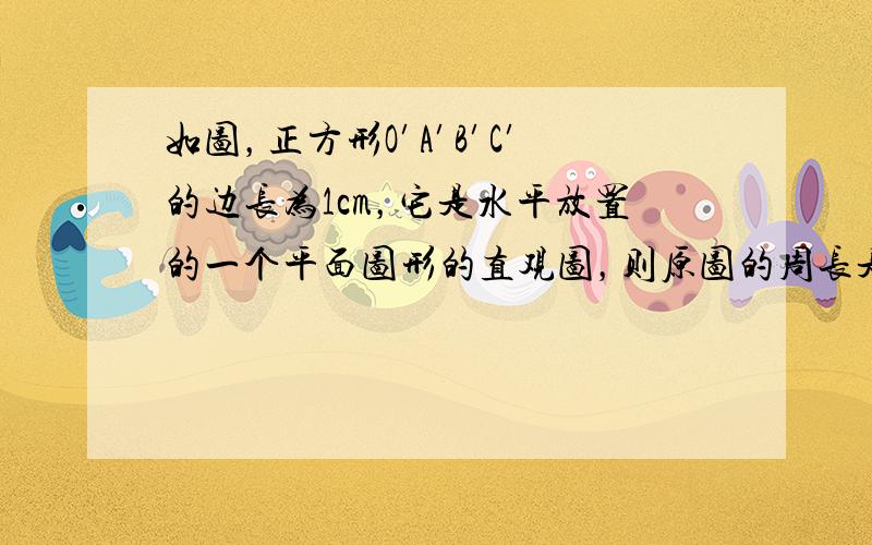 如图，正方形O′A′B′C′的边长为1cm，它是水平放置的一个平面图形的直观图，则原图的周长是（　　）