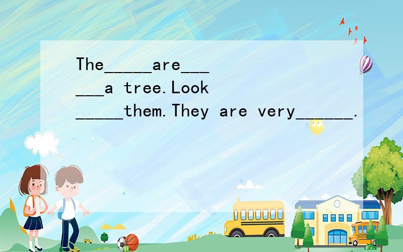 The_____are______a tree.Look_____them.They are very______.