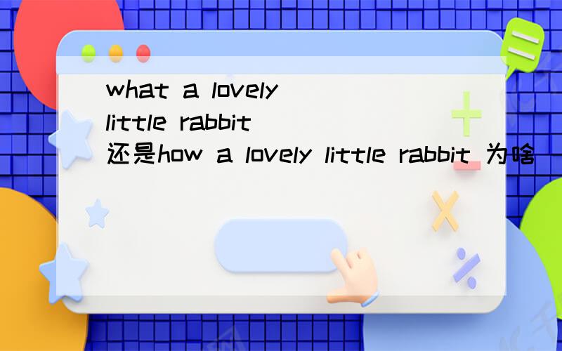 what a lovely little rabbit 还是how a lovely little rabbit 为啥