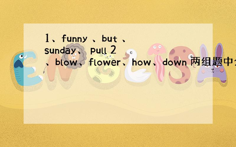 1、funny 、but 、sunday、 pull 2、blow、flower、how、down 两组题中分别是那两个