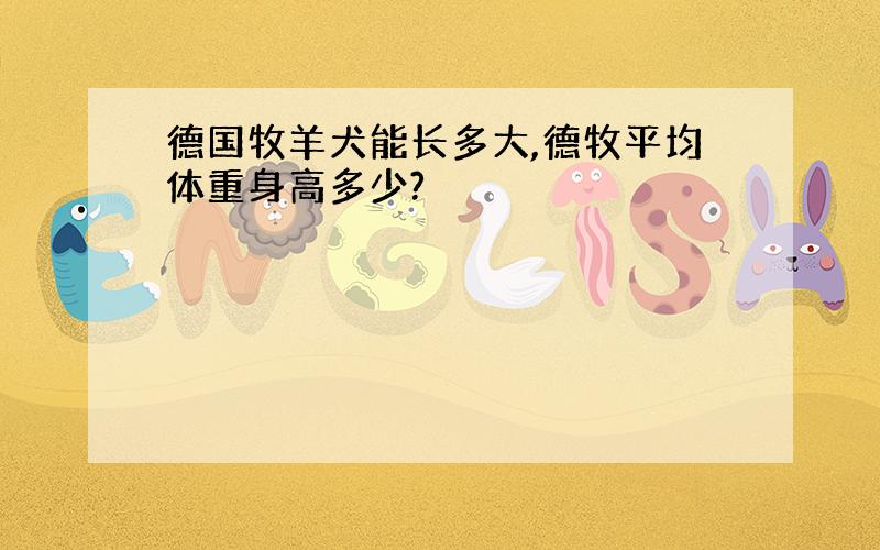 德国牧羊犬能长多大,德牧平均体重身高多少?