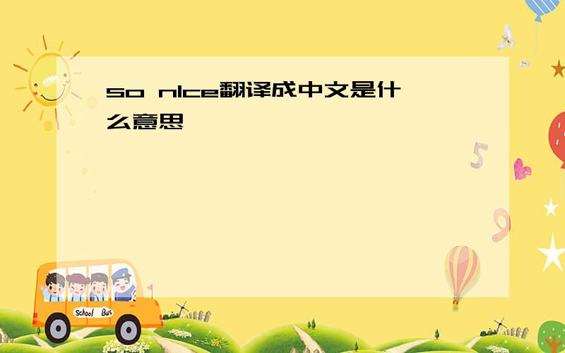 so nlce翻译成中文是什么意思