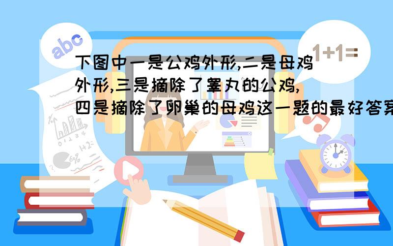 下图中一是公鸡外形,二是母鸡外形,三是摘除了睾丸的公鸡,四是摘除了卵巢的母鸡这一题的最好答案是什么?