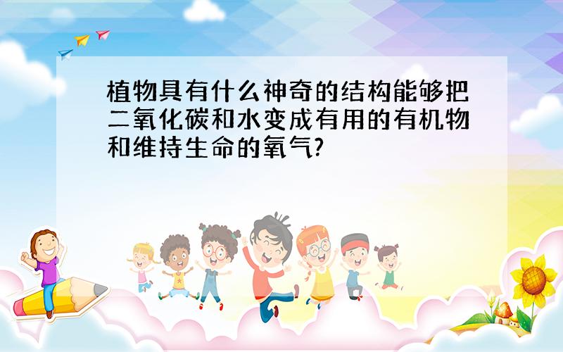 植物具有什么神奇的结构能够把二氧化碳和水变成有用的有机物和维持生命的氧气?
