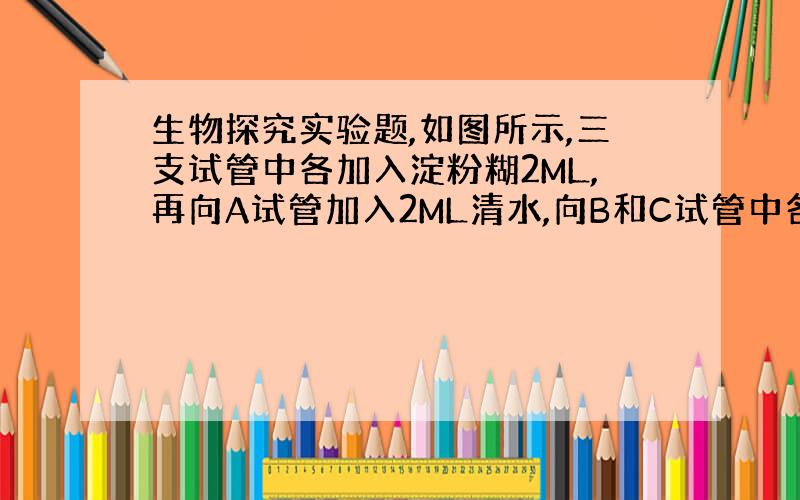 生物探究实验题,如图所示,三支试管中各加入淀粉糊2ML,再向A试管加入2ML清水,向B和C试管中各加入2ML唾液,再向C