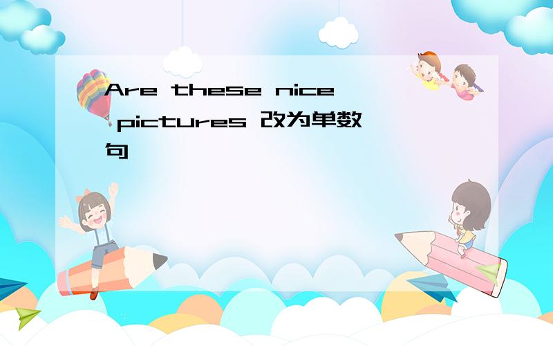 Are these nice pictures 改为单数句