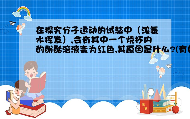 在探究分子运动的试验中（浓氨水挥发）,会有其中一个烧杯内的酚酞溶液变为红色,其原因是什么?(有好几个采分点,)