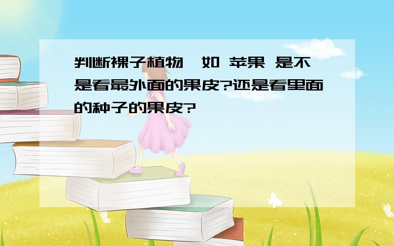 判断裸子植物,如 苹果 是不是看最外面的果皮?还是看里面的种子的果皮?