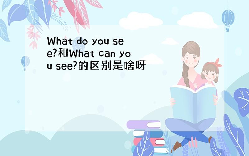 What do you see?和What can you see?的区别是啥呀