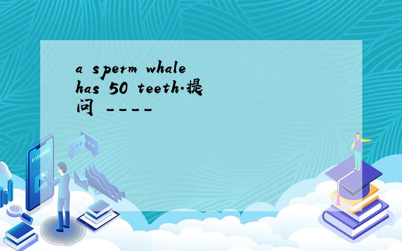 a sperm whale has 50 teeth.提问 ----