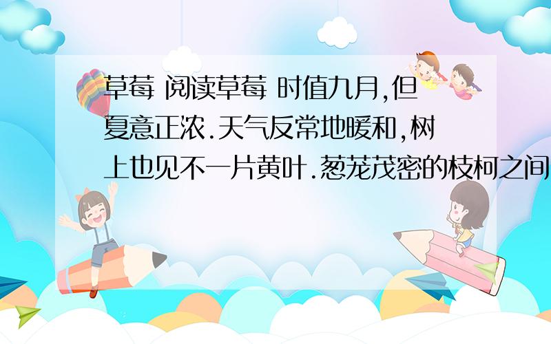 草莓 阅读草莓 时值九月,但夏意正浓.天气反常地暖和,树上也见不一片黄叶.葱茏茂密的枝柯之间,也许个别地方略见疏落,也许