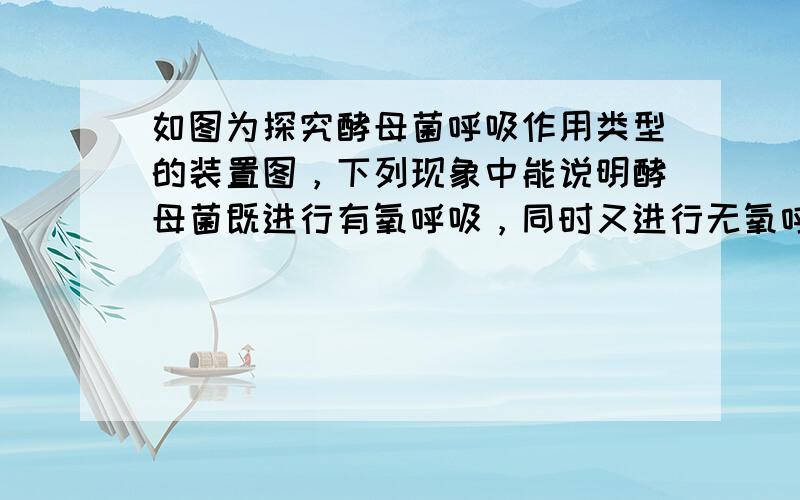 如图为探究酵母菌呼吸作用类型的装置图，下列现象中能说明酵母菌既进行有氧呼吸，同时又进行无氧呼吸的是（　　）