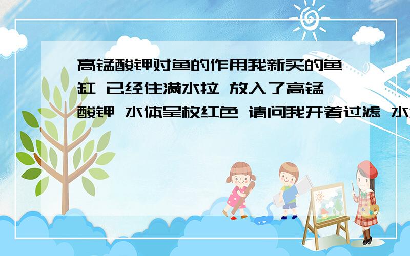 高锰酸钾对鱼的作用我新买的鱼缸 已经住满水拉 放入了高锰酸钾 水体呈枚红色 请问我开着过滤 水温加到28度 过个两天水里