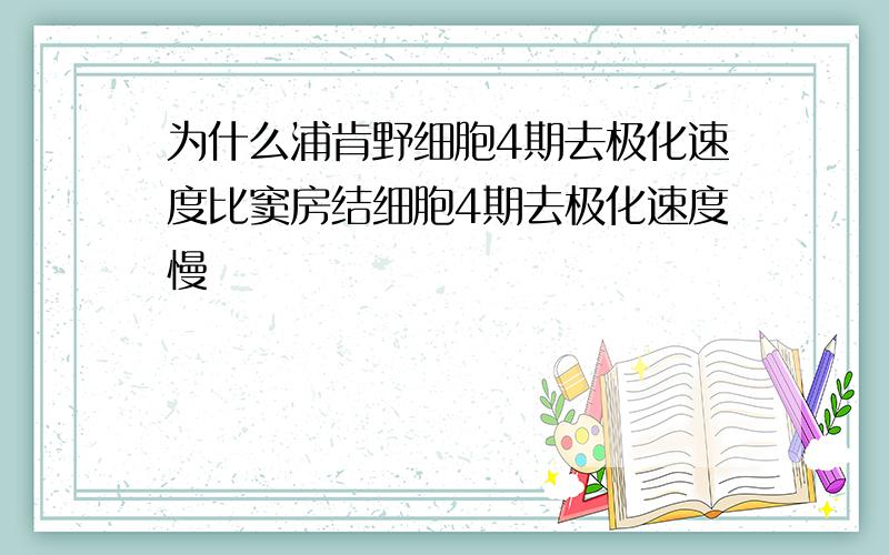 为什么浦肯野细胞4期去极化速度比窦房结细胞4期去极化速度慢