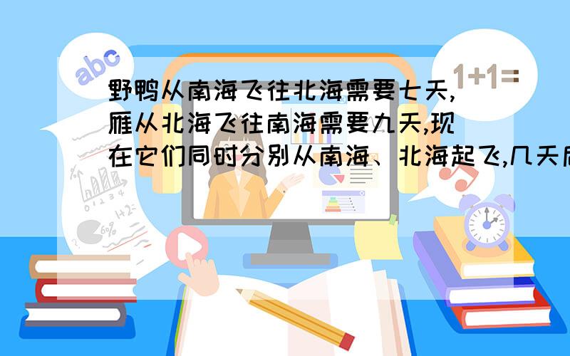 野鸭从南海飞往北海需要七天,雁从北海飞往南海需要九天,现在它们同时分别从南海、北海起飞,几天后能相遇