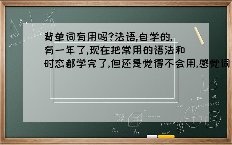 背单词有用吗?法语,自学的,有一年了,现在把常用的语法和时态都学完了,但还是觉得不会用,感觉词汇量不够,当前的目标是要看