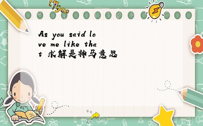 As you said love me like that 求解是神马意思