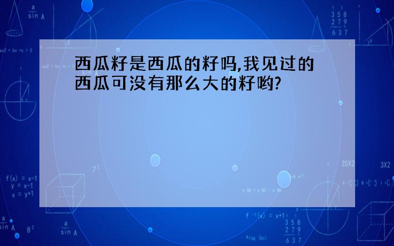 西瓜籽是西瓜的籽吗,我见过的西瓜可没有那么大的籽哟?