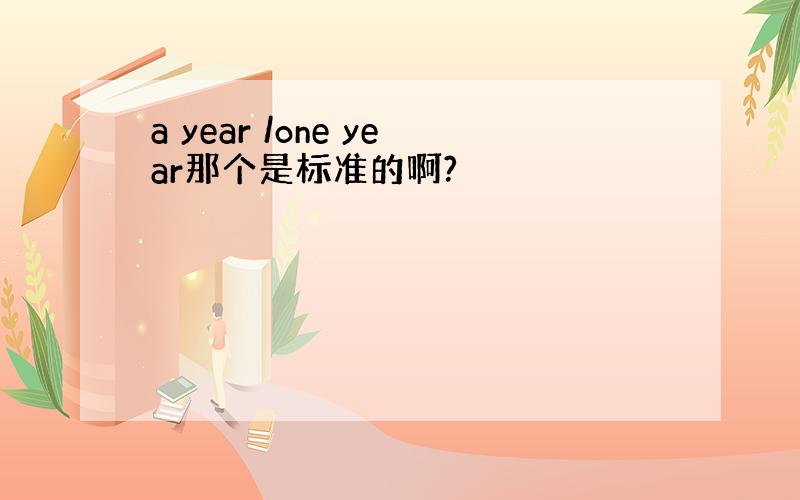 a year /one year那个是标准的啊?