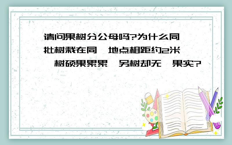 请问果树分公母吗?为什么同一批树栽在同一地点相距约2米,一树硕果累累,另树却无一果实?