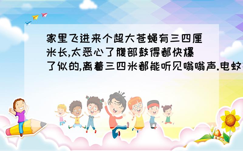 家里飞进来个超大苍蝇有三四厘米长,太恶心了腹部鼓得都快爆了似的,离着三四米都能听见嗡嗡声.电蚊拍打不死,扣到地上1分钟才