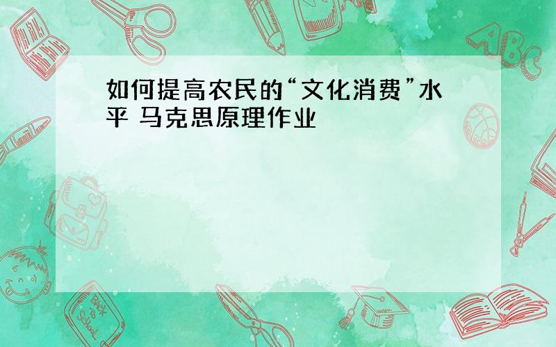 如何提高农民的“文化消费”水平 马克思原理作业