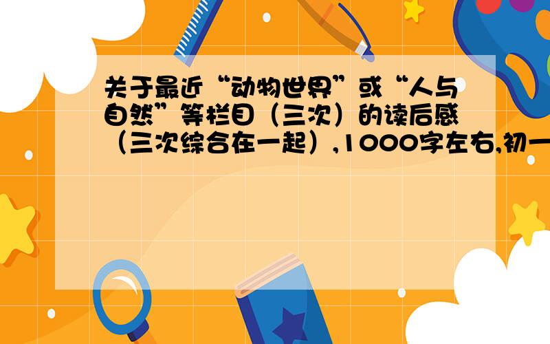 关于最近“动物世界”或“人与自然”等栏目（三次）的读后感（三次综合在一起）,1000字左右,初一上学期水平