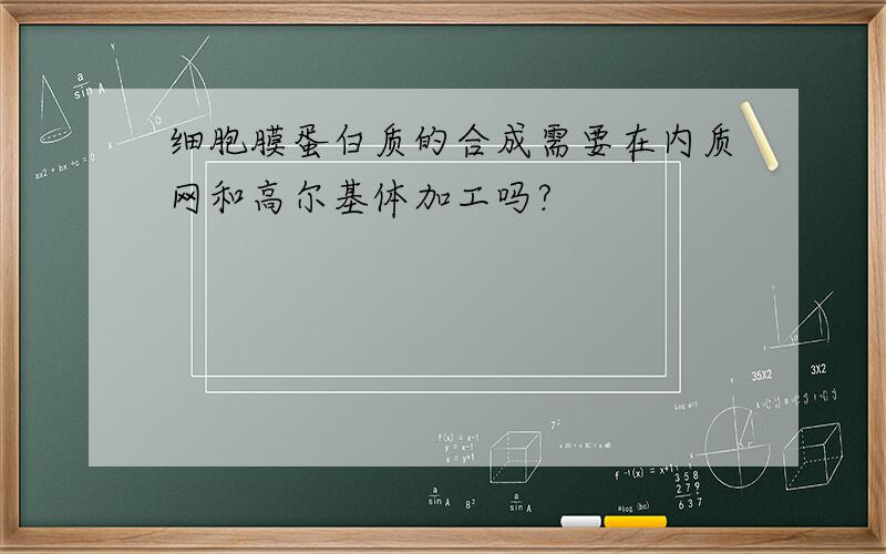 细胞膜蛋白质的合成需要在内质网和高尔基体加工吗?