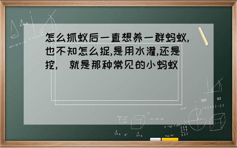 怎么抓蚁后一直想养一群蚂蚁,也不知怎么捉,是用水灌,还是挖,（就是那种常见的小蚂蚁）