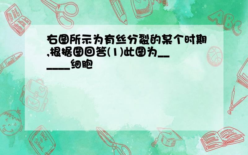 右图所示为有丝分裂的某个时期,根据图回答(1)此图为______细胞