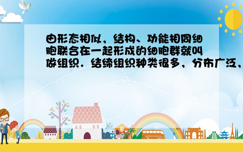 由形态相似，结构、功能相同细胞联合在一起形成的细胞群就叫做组织．结缔组织种类很多，分布广泛，如骨、血液、脂肪等，具有支